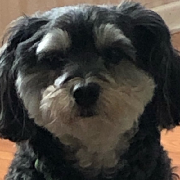 🌸CHECK OUT MY MOM'S CLOSET 🌺BUNDLE AND SAVE🔥 - Picture 1 of 1